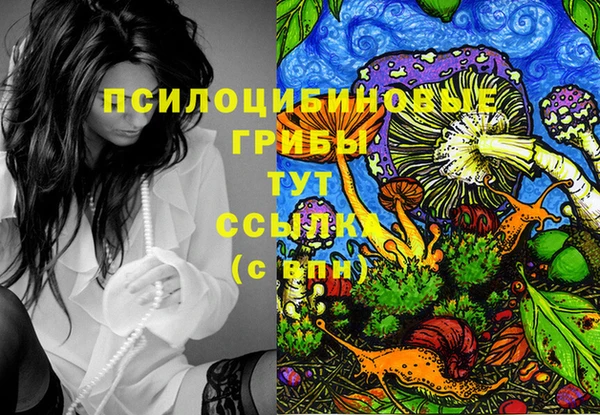 дурь Алзамай