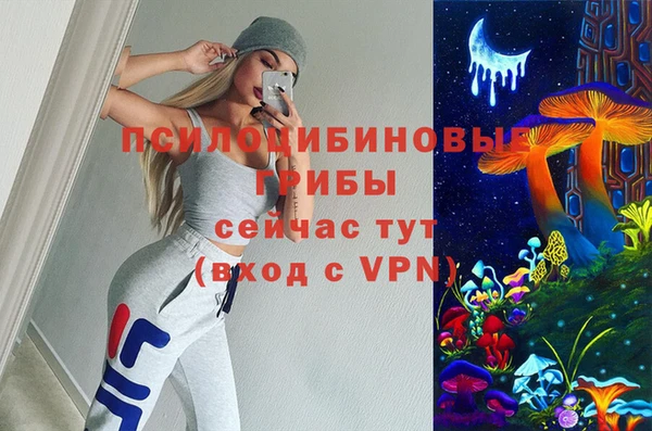 дурь Алзамай