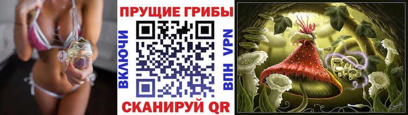 купить  сайты  ОМГ ОМГ ссылка  Псилоцибиновые грибы мухоморы  Подольск 
