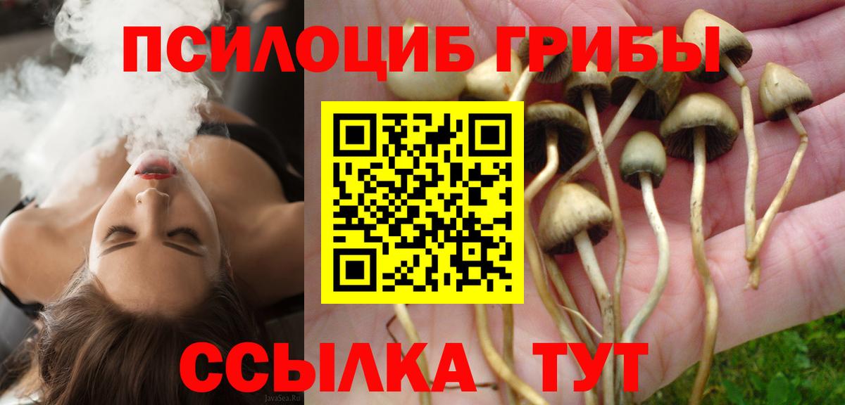 Галлюциногенные грибы прущие грибы  Вход с VPN  Подольск  Галлюциногенные грибы Cubensis 